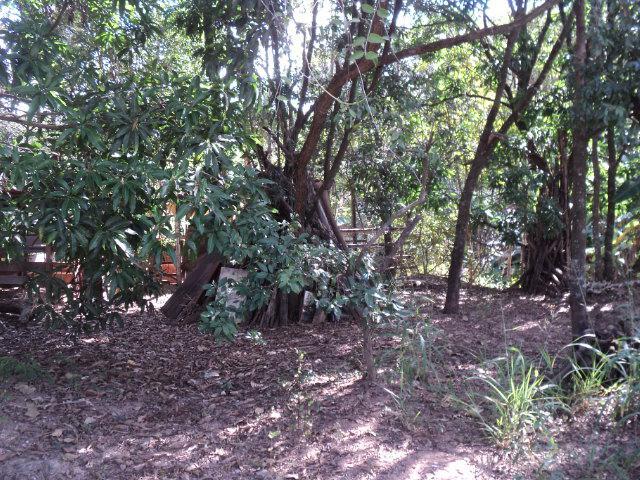 Lote, Novo Retiro, 0 Quarto, 0 Vaga