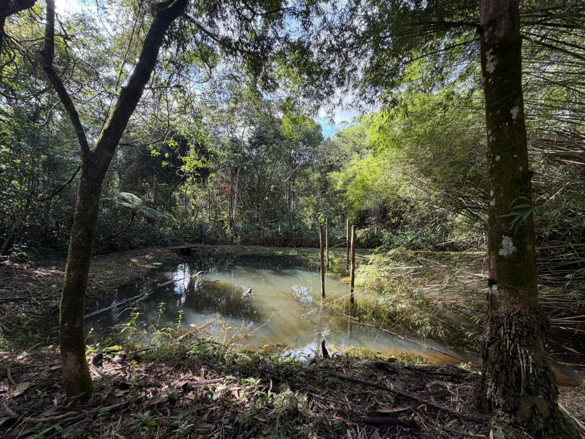 Lote, Planalto, 0 Quarto, 0 Vaga