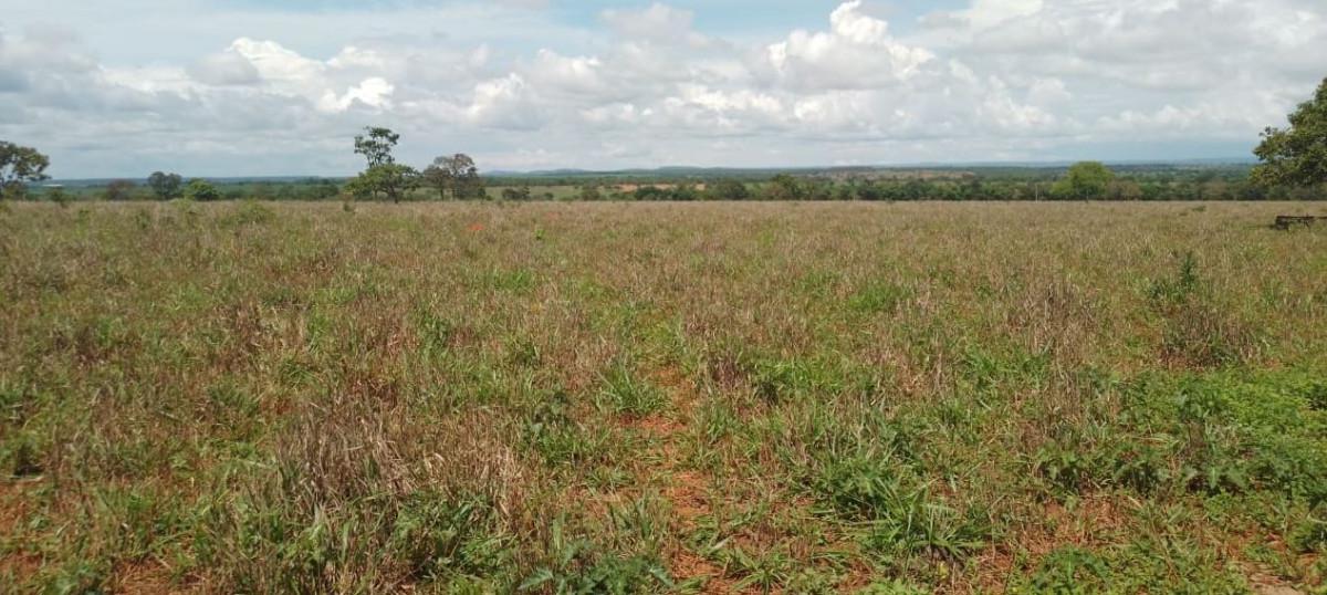 Fazenda, Zona Rural, 0 Quarto, 0 Vaga