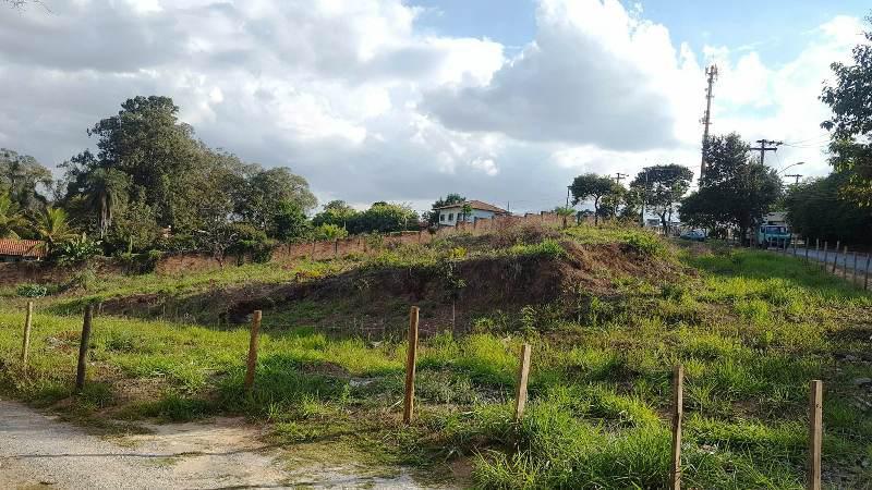 Lote, Braúnas
