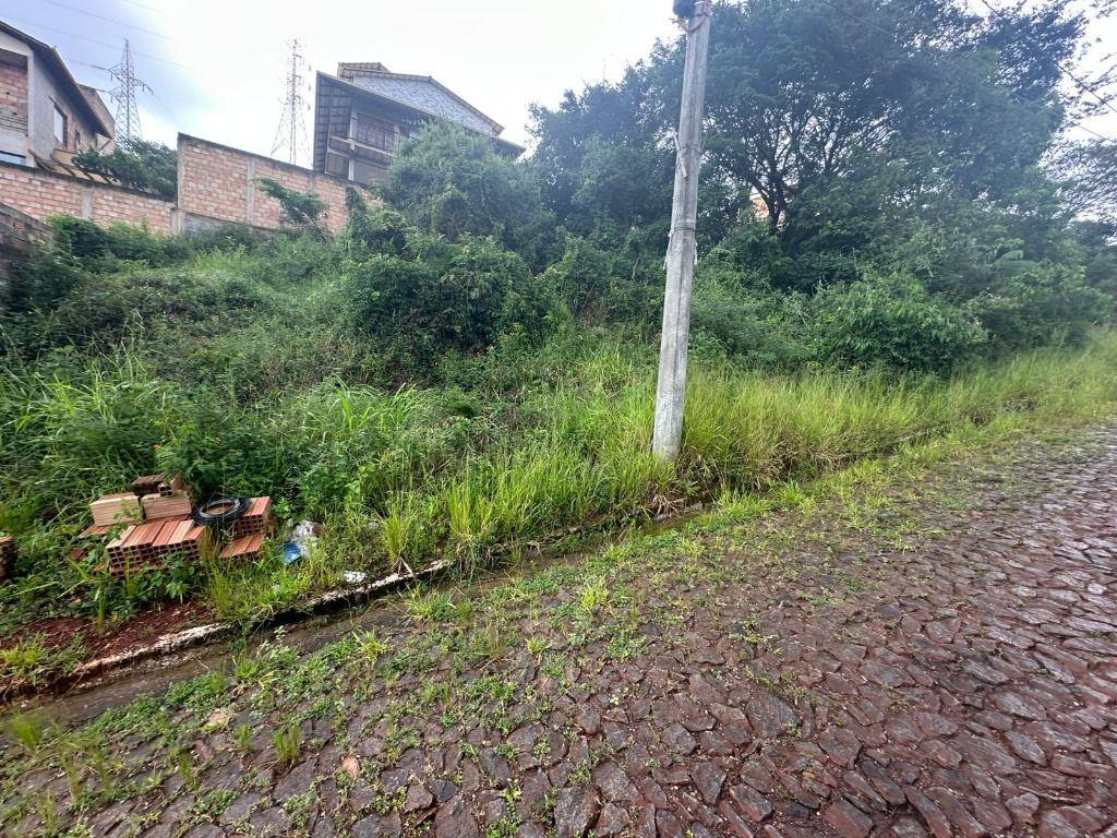 Lote, Vila Real, 0 Quarto, 0 Vaga