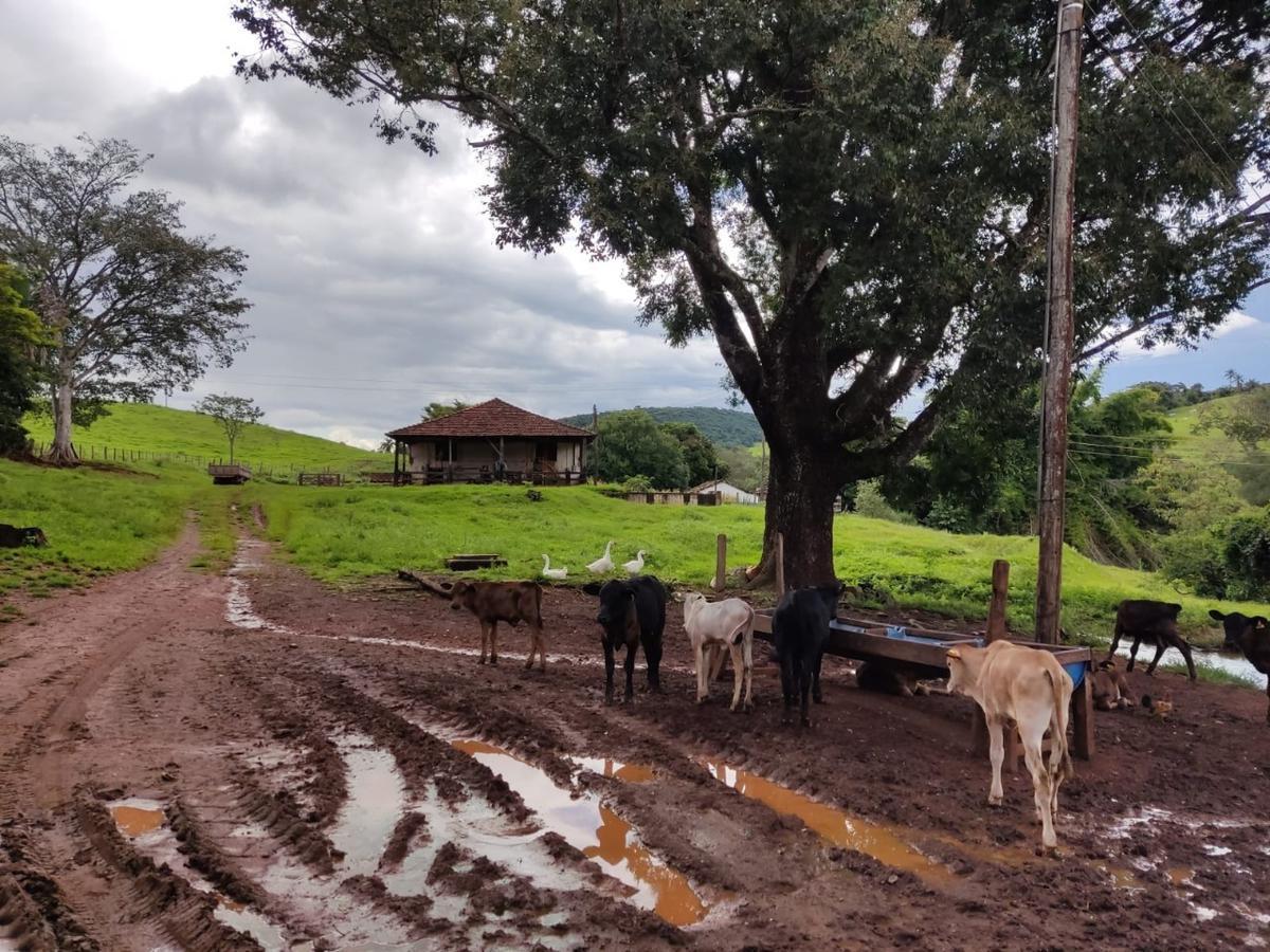 Fazenda, Centro, 3 Quartos, 0 Vaga