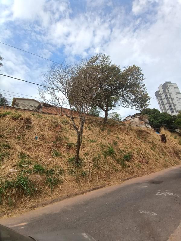 Lote, Salgado Filho, 0 Quarto, 0 Vaga