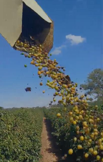 Fazenda, Zona Rural, 0 Quarto, 0 Vaga