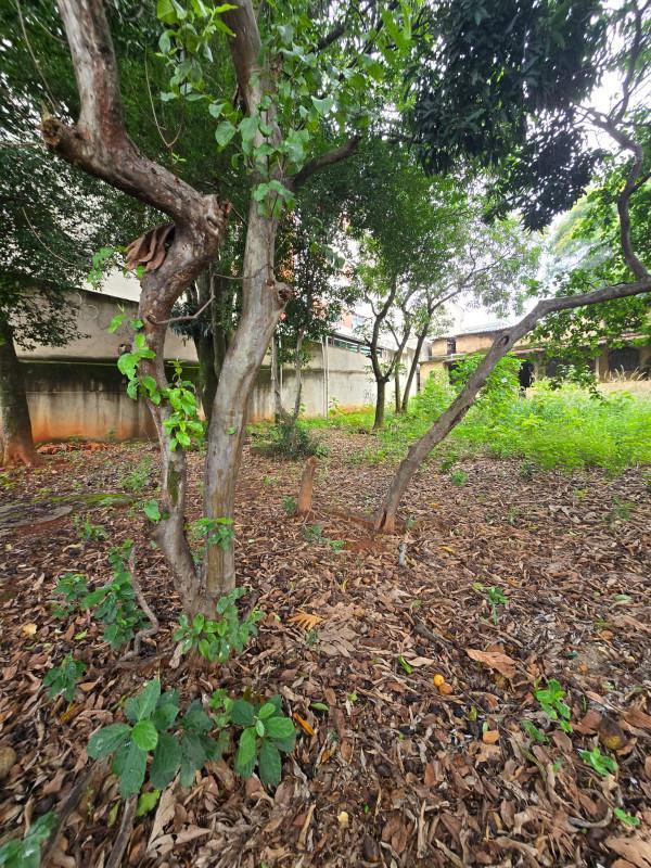 Lote, Serrano, 0 Quarto, 0 Vaga