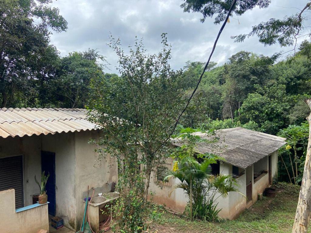 Fazenda, Arraial Velho, 0 Quarto, 0 Vaga