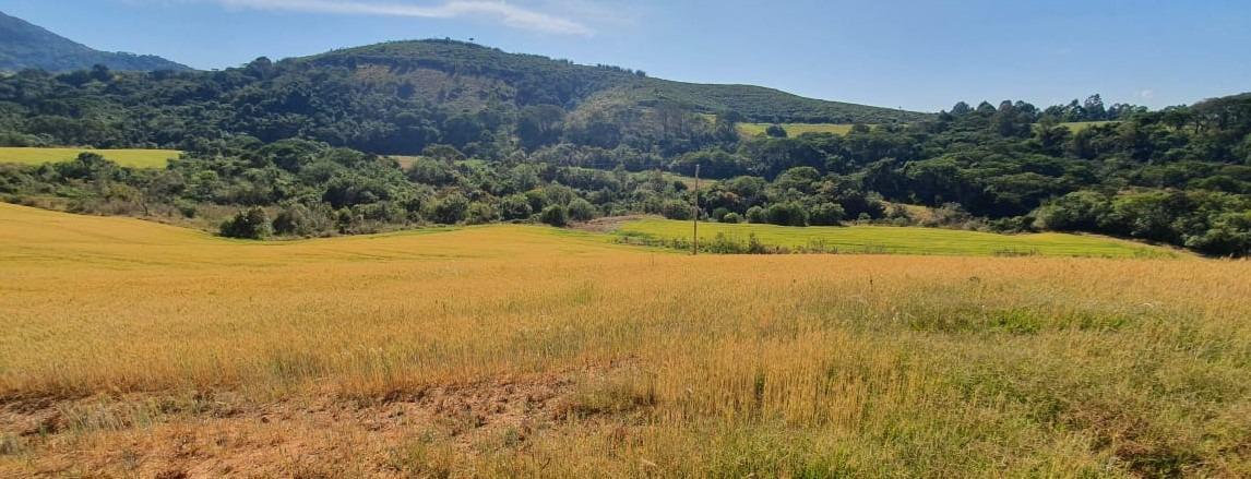 Fazenda, Zona Rural, 6 Quartos, 0 Vaga, 2 Suítes