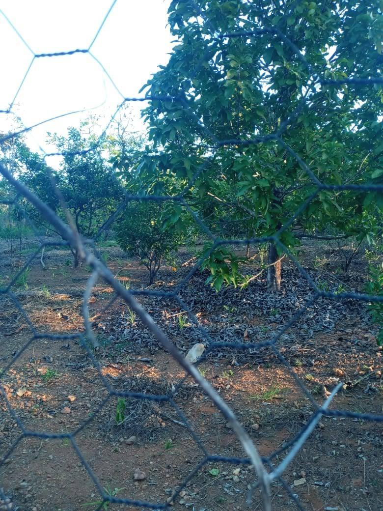 Lote, Zona Rural, 0 Quarto, 0 Vaga