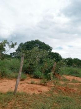 Fazenda, Zona Rural, 3 Quartos, 0 Vaga