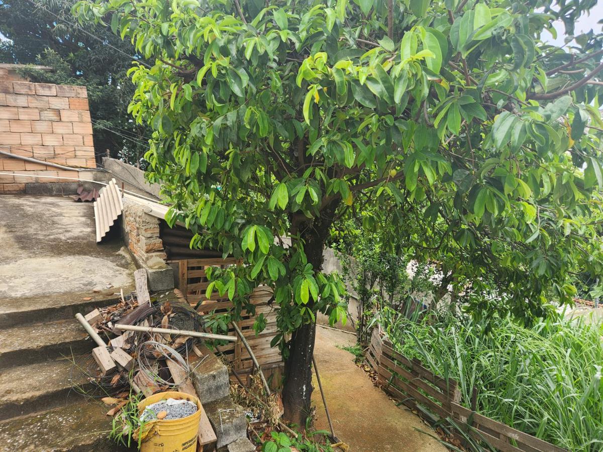 Lote, Glória, 0 Quarto, 0 Vaga