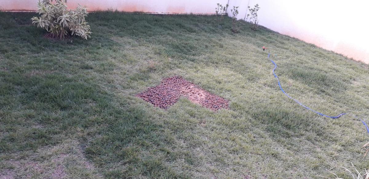 Apartamento, Planalto, 3 Quartos, 2 Vagas