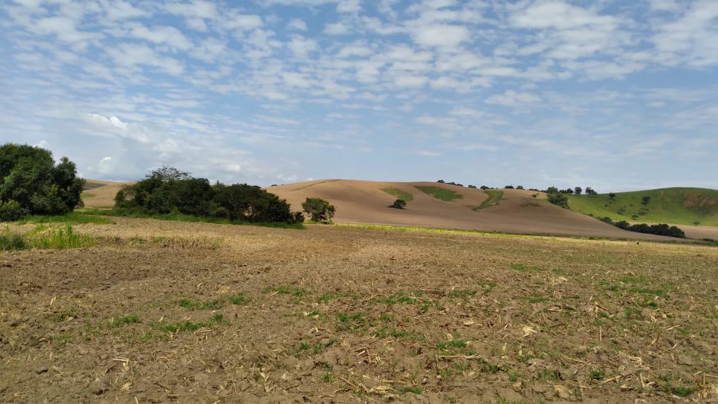 Fazenda, Dos Campos, 3 Quartos, 5 Vagas
