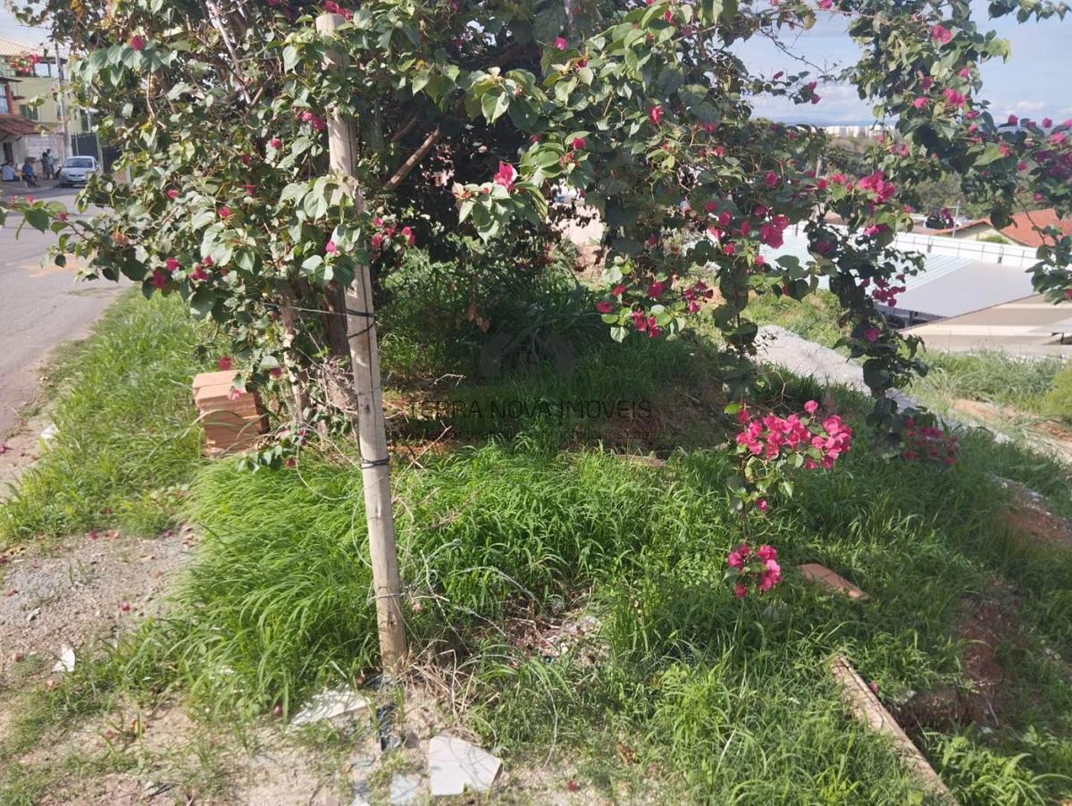 Lote, Vila Maria II, 0 Quarto