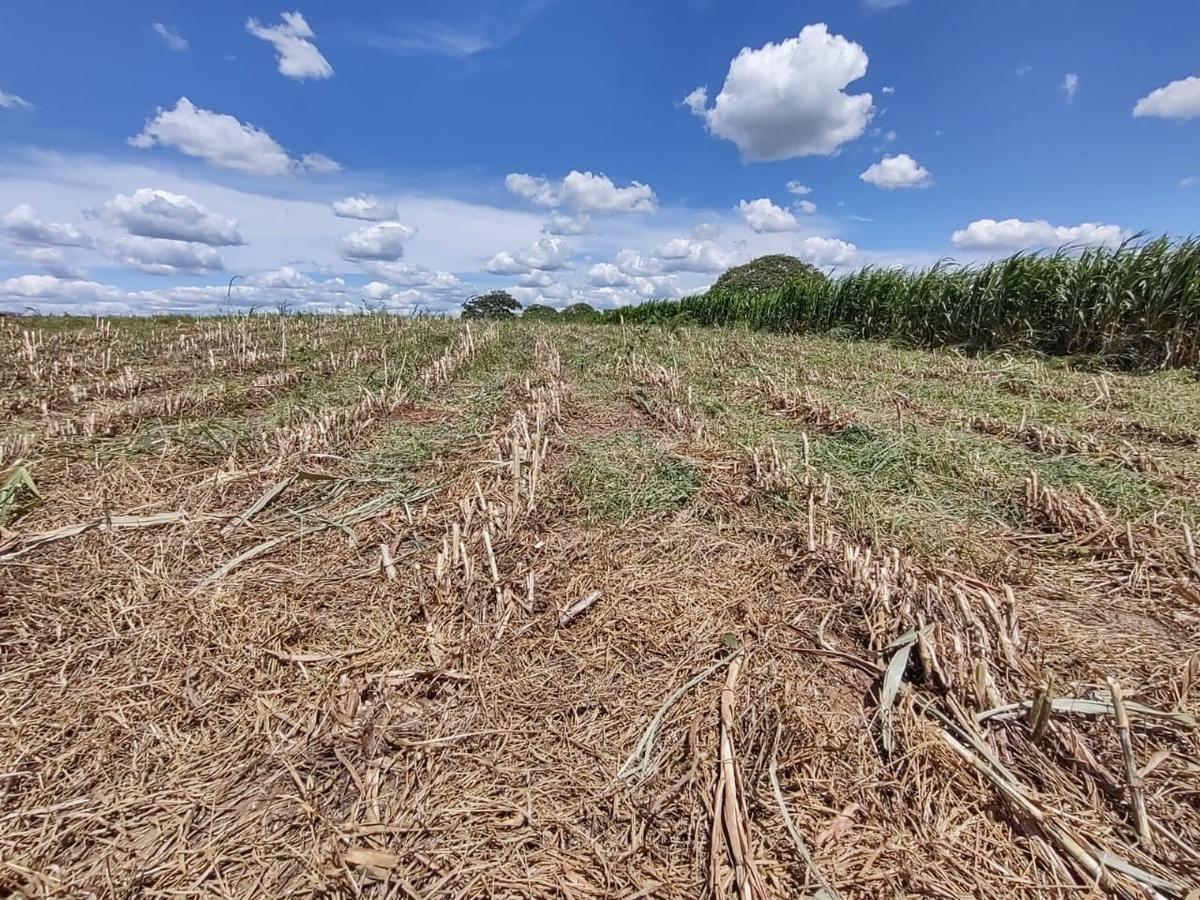 Fazenda, Zona Rural, 4 Quartos, 2 Vagas