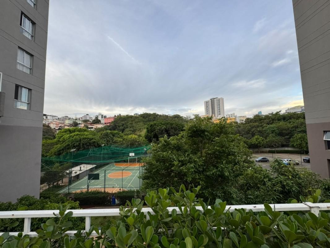 Apartamento, Havaí, 3 Quartos, 2 Vagas, 1 Suíte