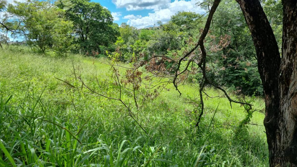 Lote, Centro, 0 Quarto, 0 Vaga