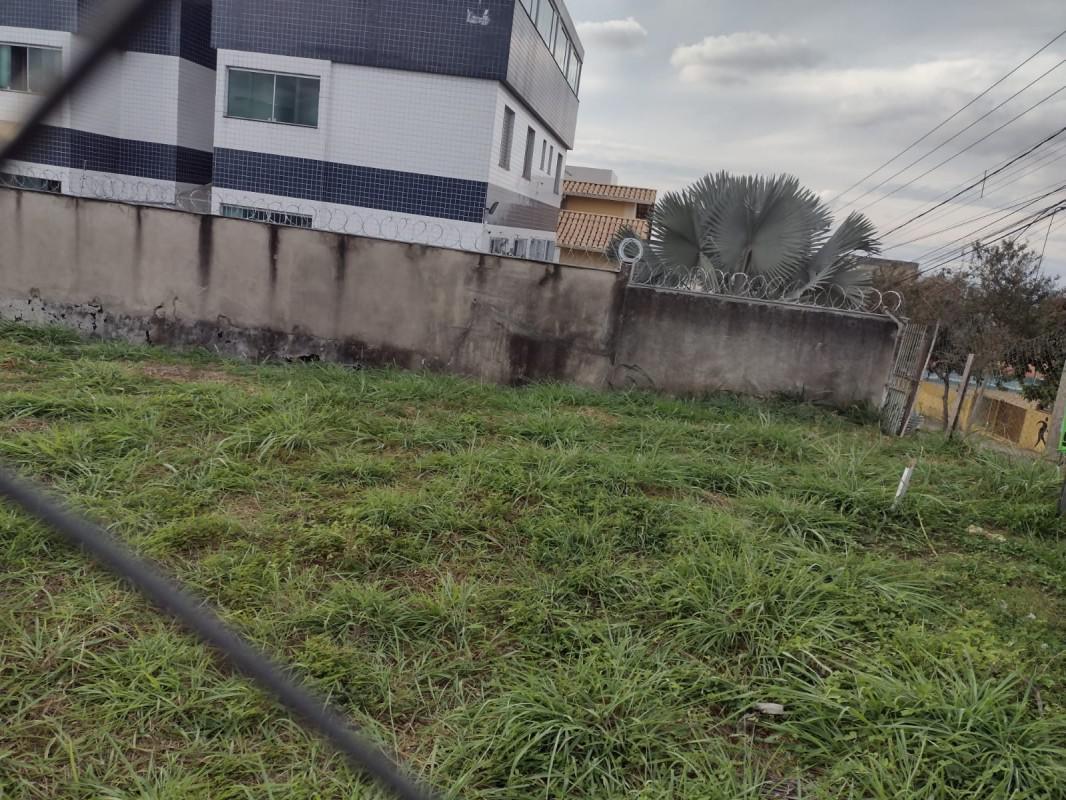 Lote, Renascença, 0 Quarto, 0 Vaga