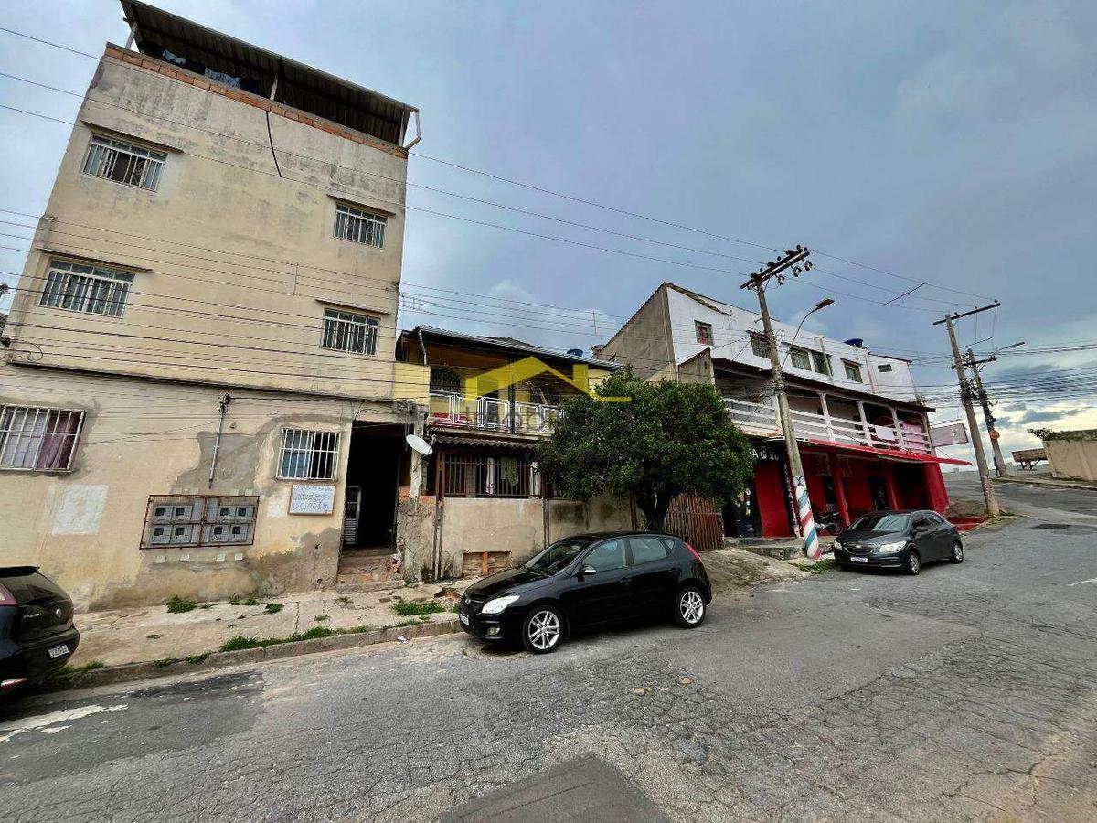 Lote, Palmeiras