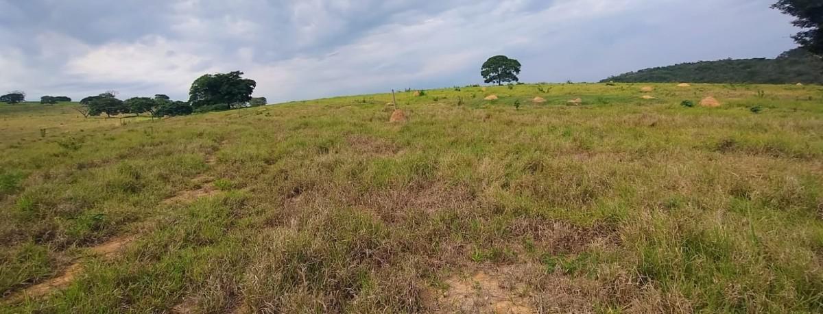 Fazenda, Zona Rural, 0 Quarto, 0 Vaga