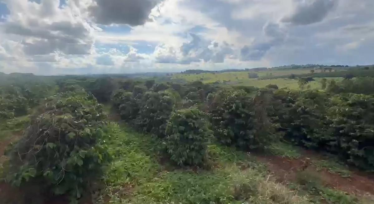 Fazenda, Zona Rural, 0 Quarto, 0 Vaga