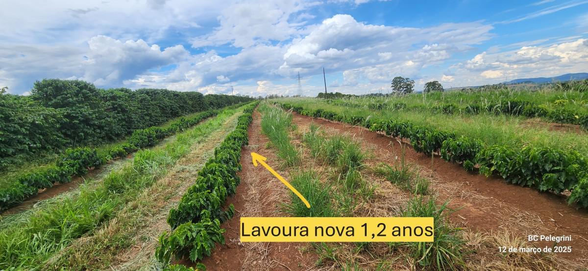 Fazenda, Zona Rural, 0 Quarto, 0 Vaga