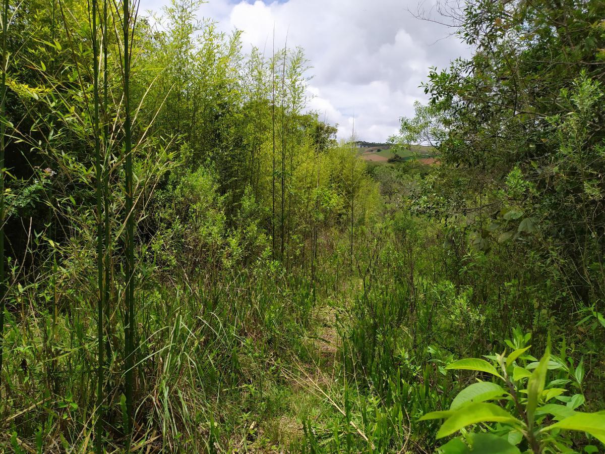Fazenda, Centro, 1 Quarto, 0 Vaga