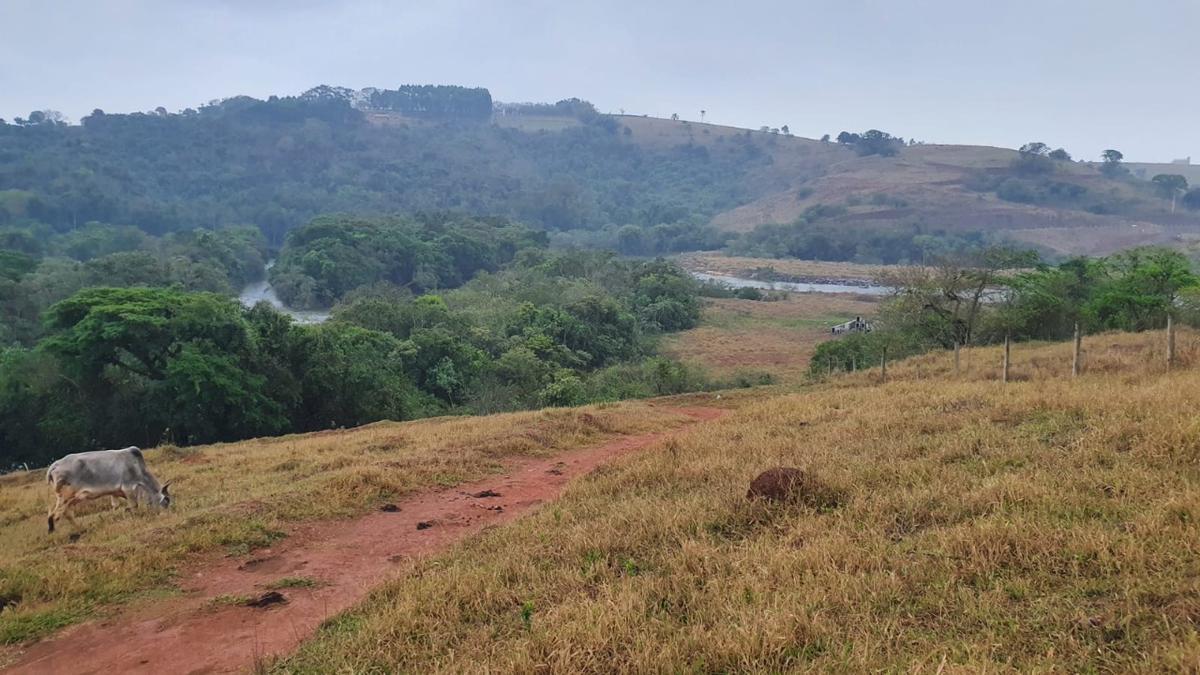 Lote, Centro, 1 Quarto, 1 Vaga