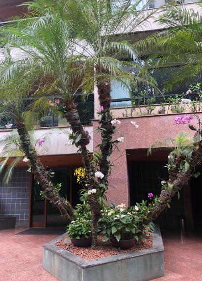 Apartamento, Savassi, 4 Quartos, 3 Vagas, 2 Suítes