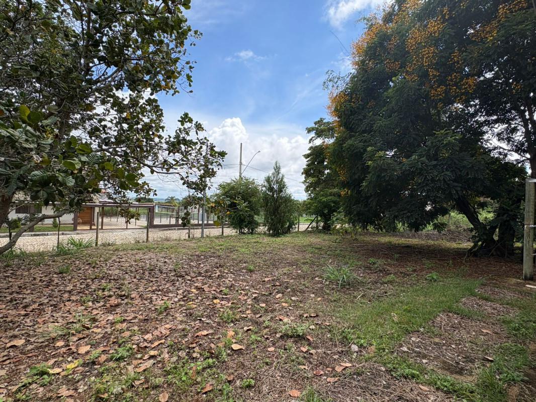 Lote, Angicos, 0 Quarto, 0 Vaga