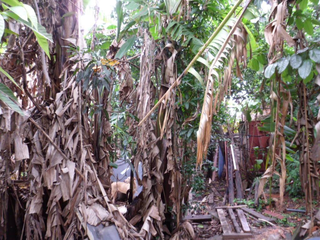 Lote, Vera Cruz, 1 Quarto, 0 Vaga