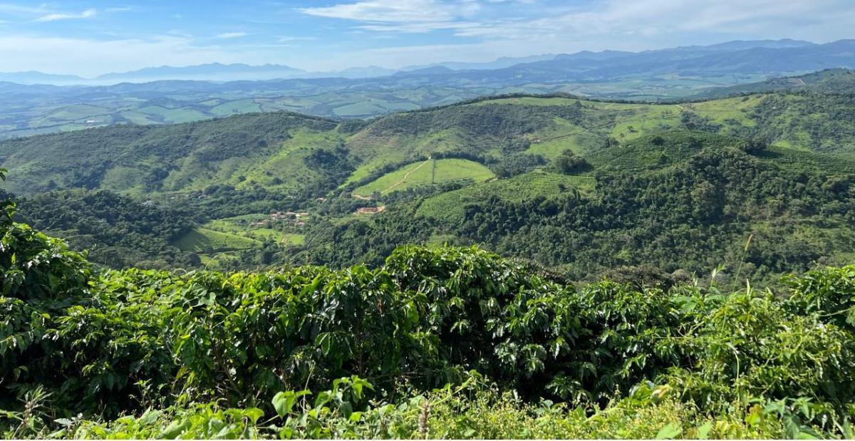 Fazenda, Zona Rural, 0 Quarto, 0 Vaga