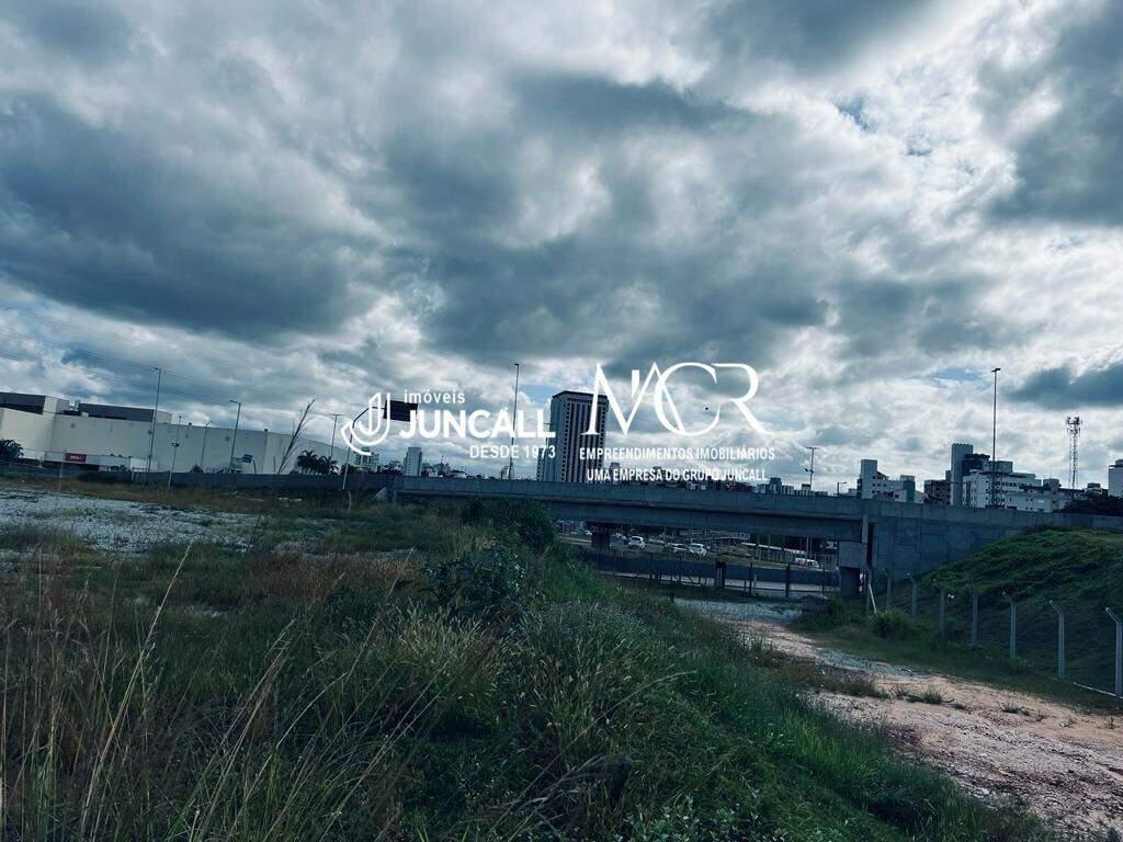 Lote, São Paulo