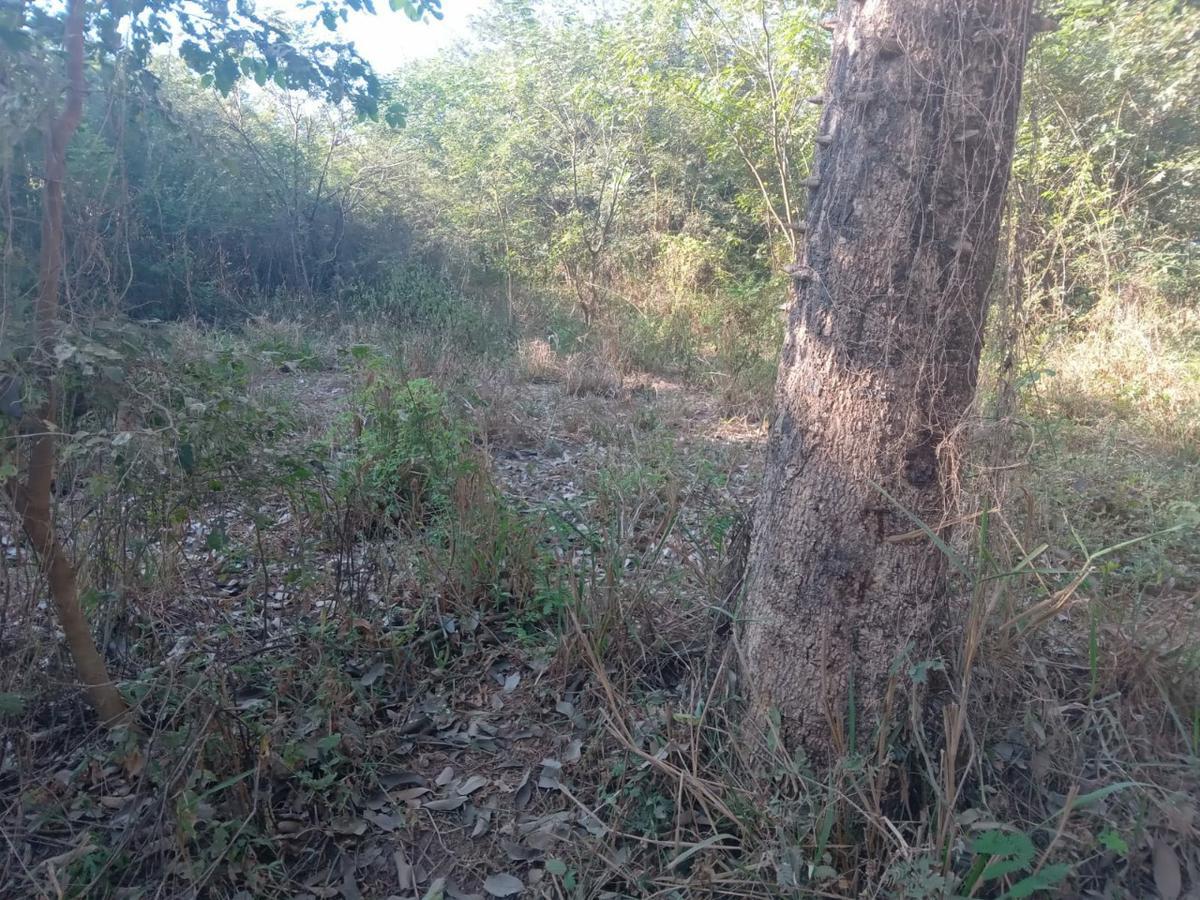 Fazenda, Zona Rural, 0 Quarto, 0 Vaga