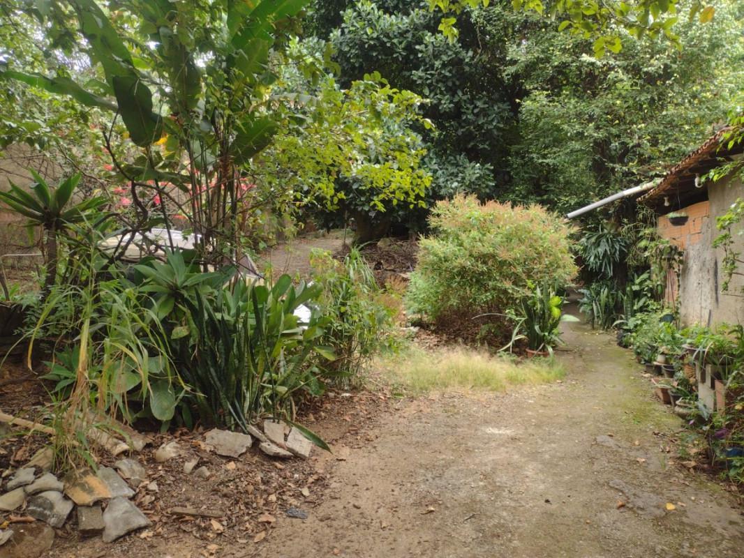 Lote, Cinquentenário, 0 Quarto, 0 Vaga