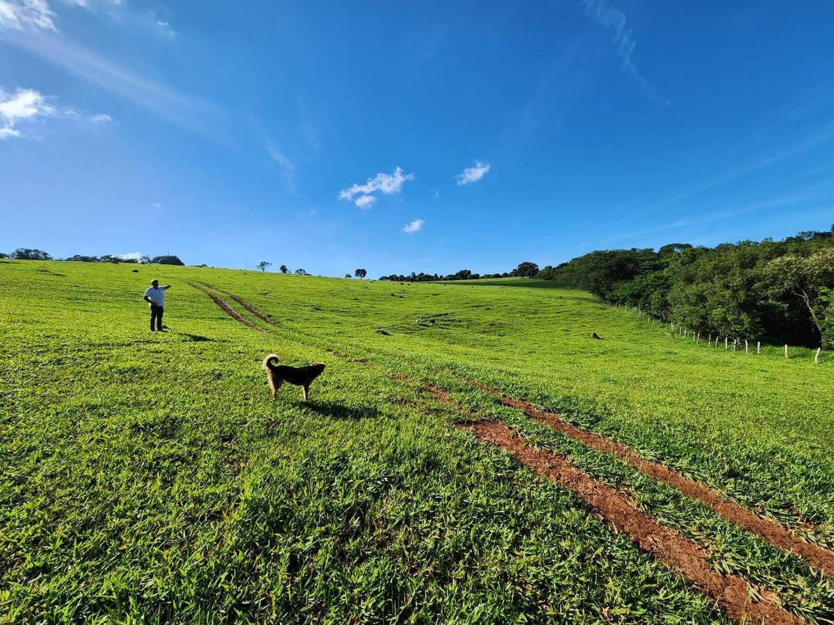 Fazenda, Centro, 4 Quartos, 0 Vaga