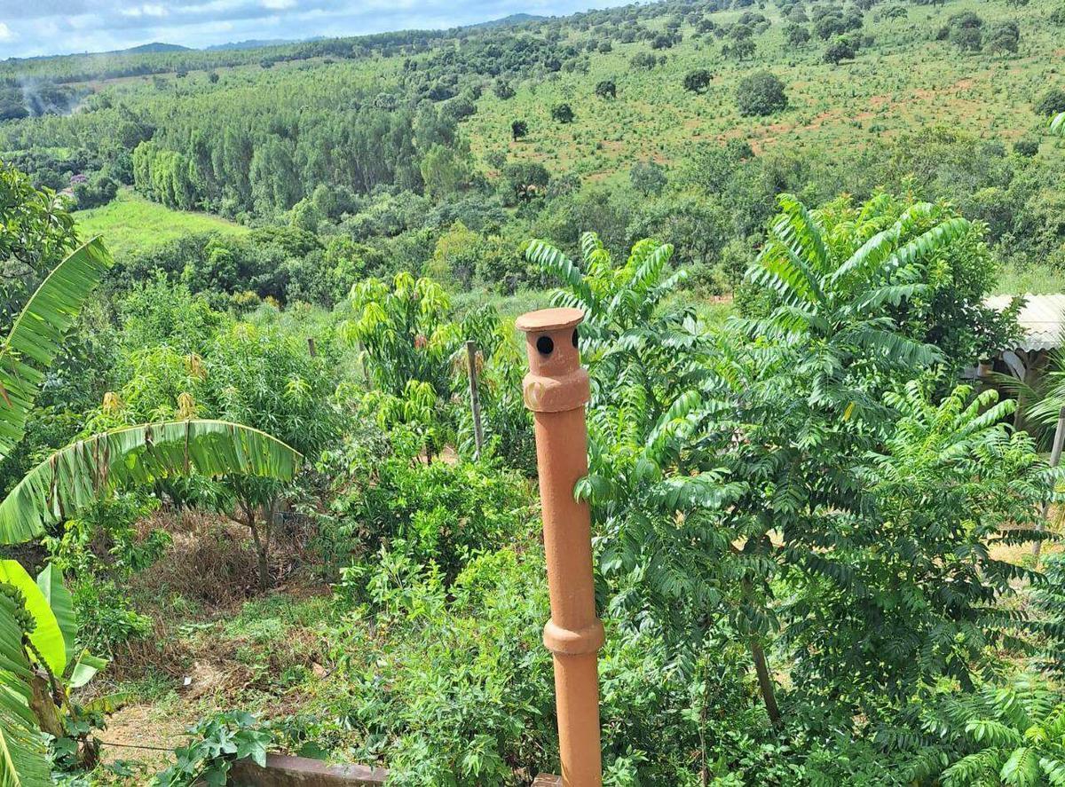 Fazenda, Centro, 2 Quartos, 0 Vaga