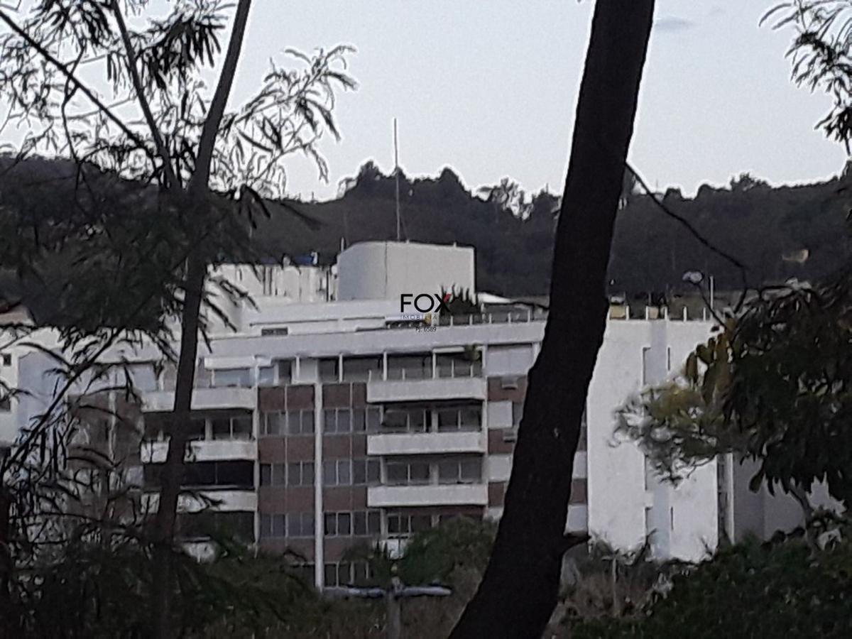 Lote, Vila Paris, 0 Quarto, 0 Vaga