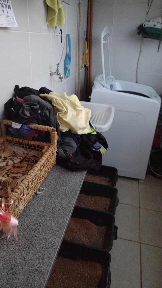Cobertura, Castelo, 3 Quartos, 1 Vaga, 1 Suíte
