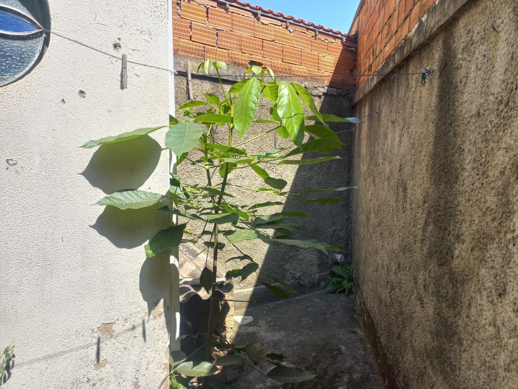 Andar, Santa Mônica, 0 Quarto, 20 Vagas