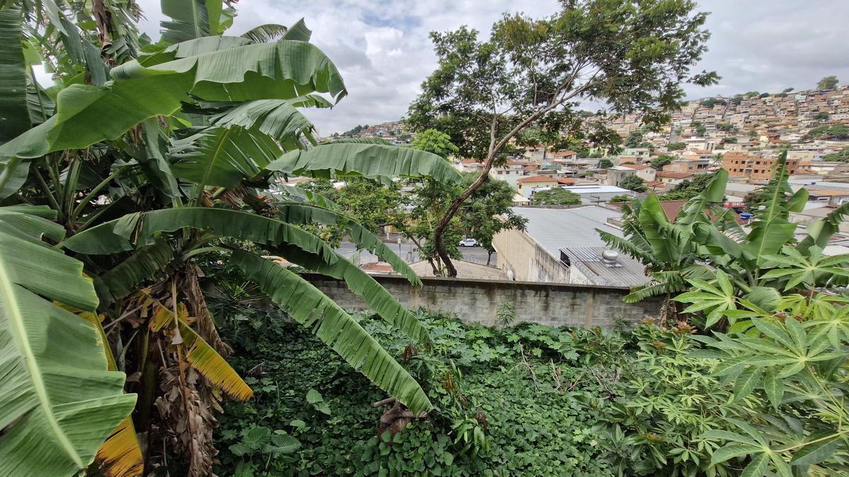 Lote, Glória, 0 Quarto, 0 Vaga