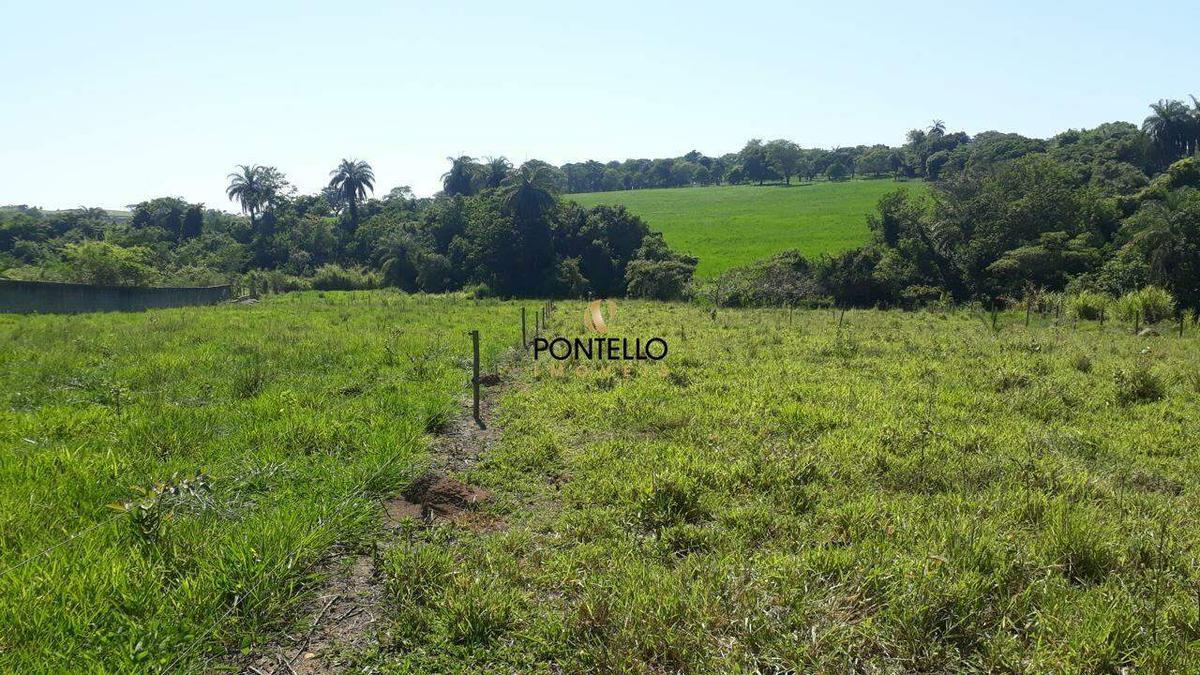 Fazenda, Universitário, 4 Quartos, 3 Vagas, 1 Suíte