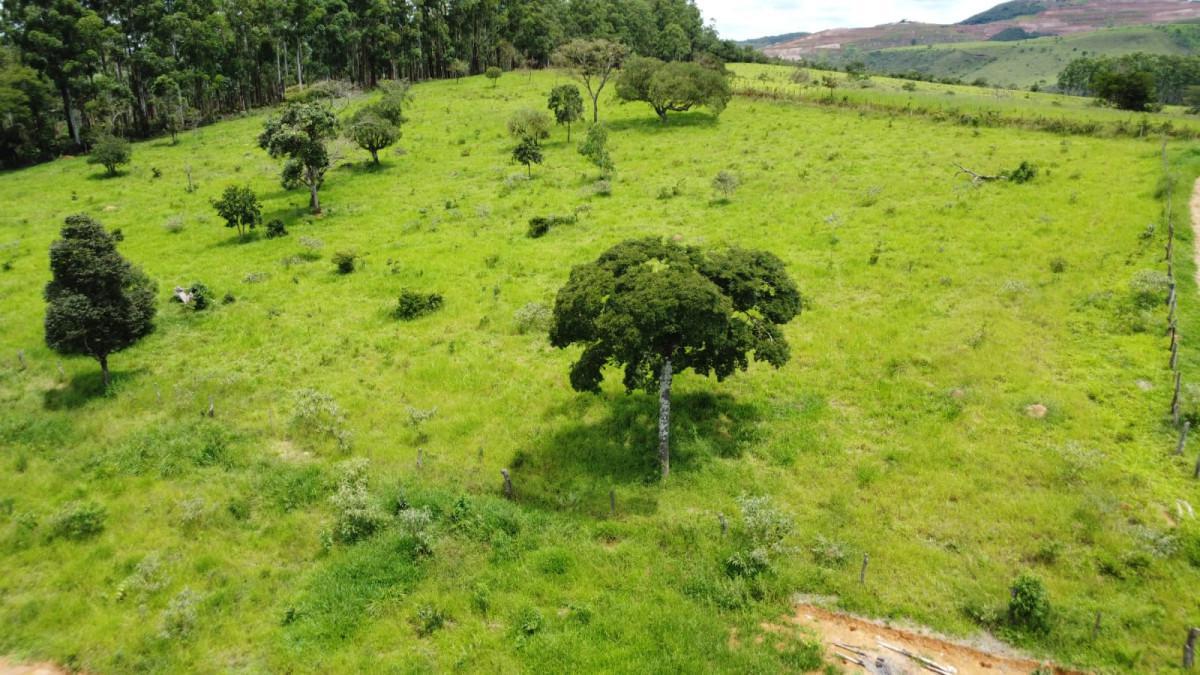 Fazenda, Zona Rural, 0 Quarto, 0 Vaga