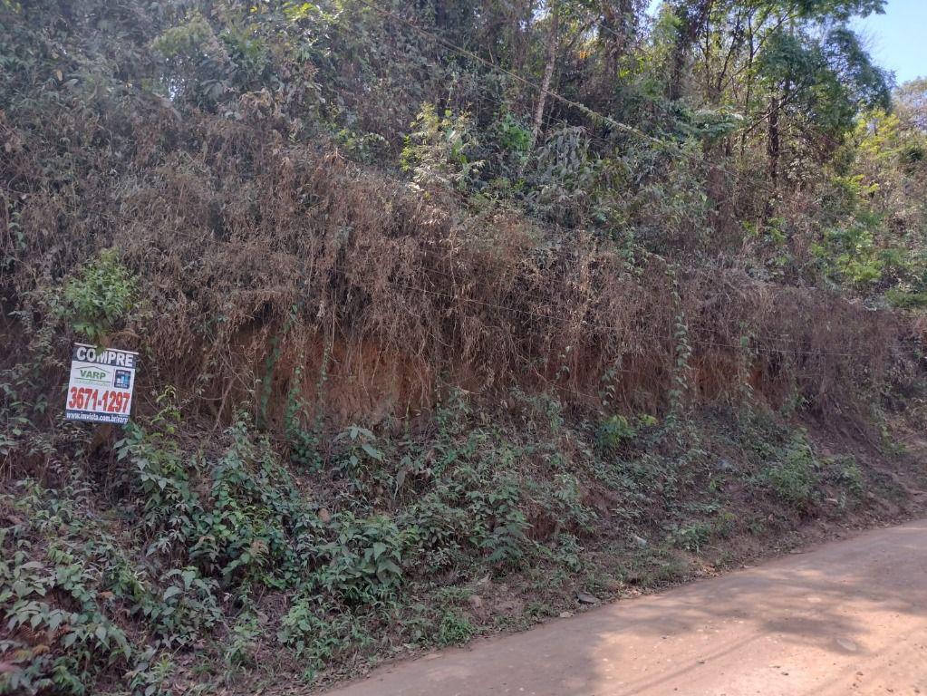 Lote, Pedra Branca, 0 Quarto, 0 Vaga