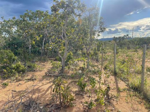 Lote, São Jose de Almeida, 0 Quarto, 0 Vaga
