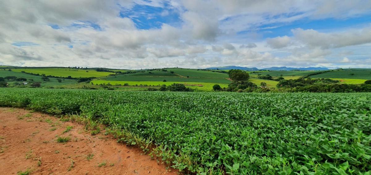 Fazenda, Zona Rural, 3 Quartos, 1 Vaga, 1 Suíte