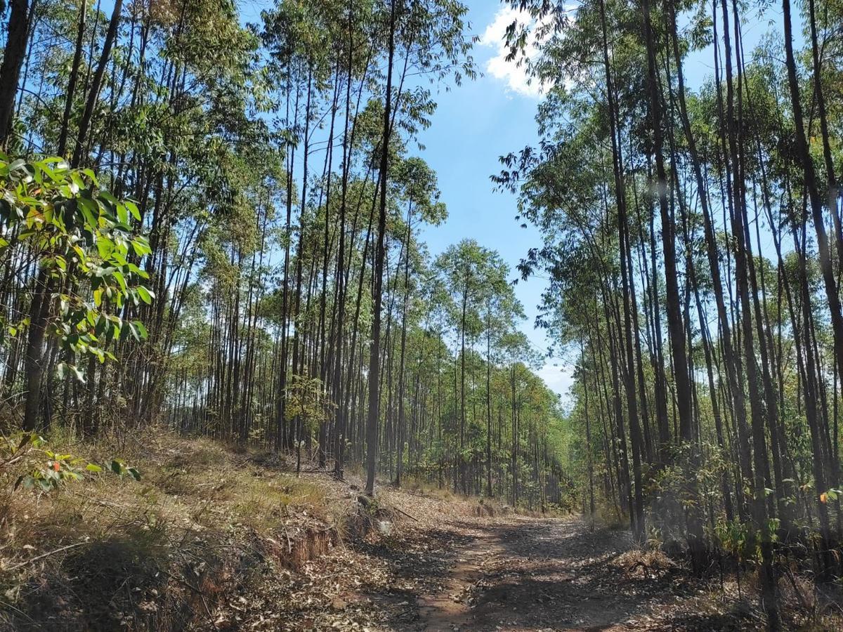 Lote, Penedo, 0 Quarto, 0 Vaga