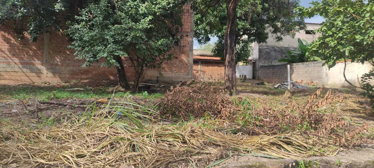 Lote, Centro, 0 Quarto, 0 Vaga