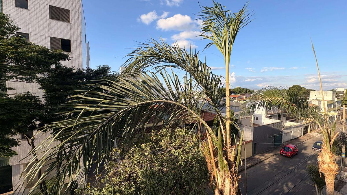 Apartamento, Liberdade, 3 Quartos, 2 Vagas, 1 Suíte