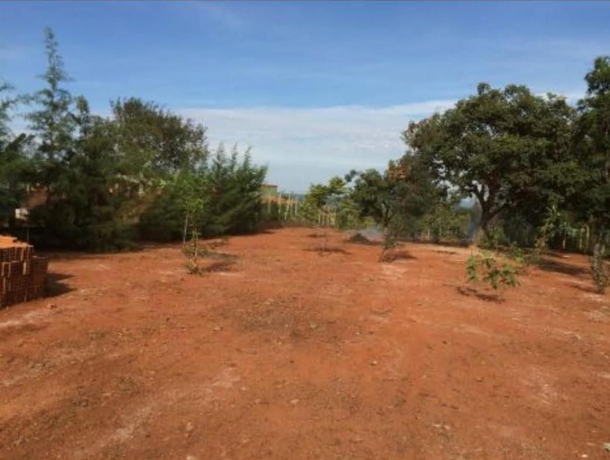 Lote, Canto da Siriema, 0 Quarto, 10 Vagas