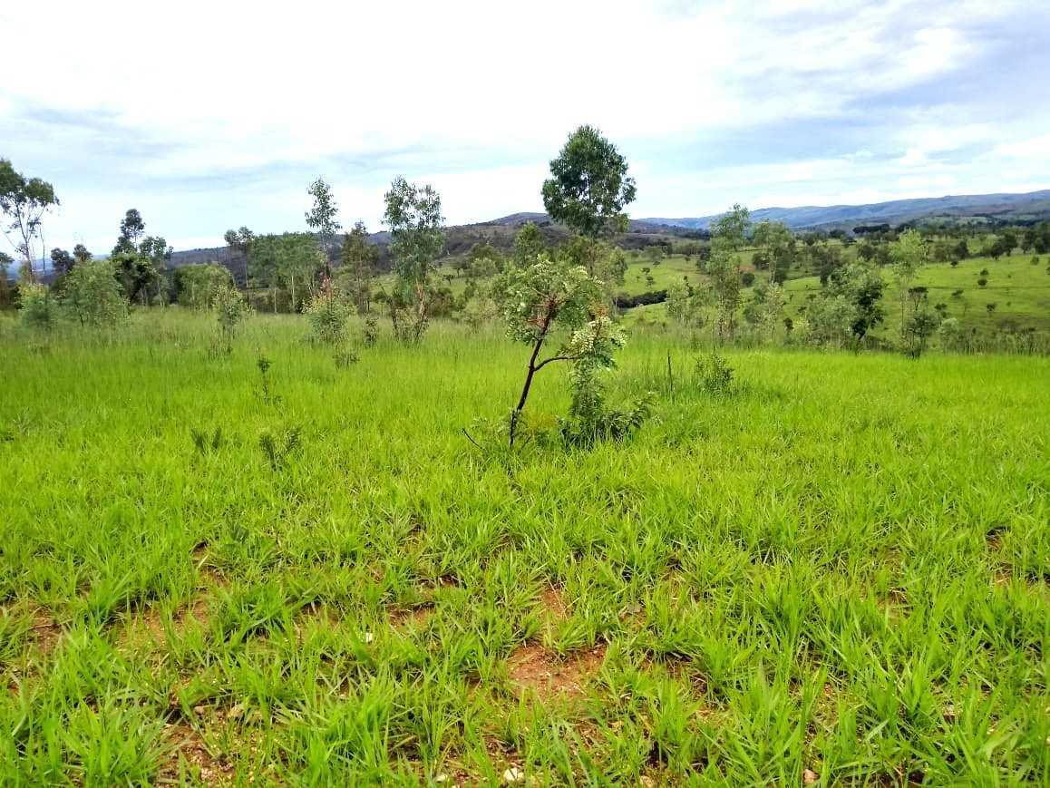 Fazenda, Zona Rural, 3 Quartos, 0 Vaga